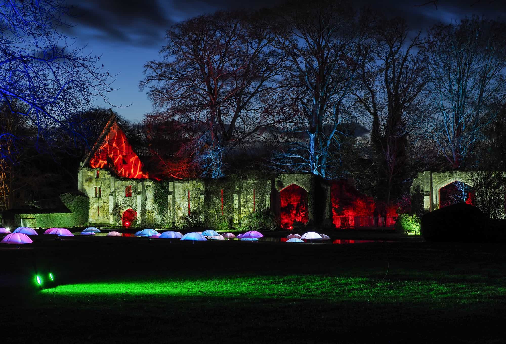 2017 Sudeley Castle Spectacle of Light Photo Gallery 16
