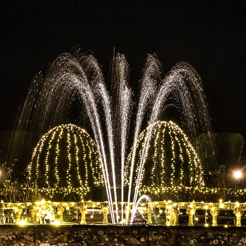 Explore magical light show displays and enjoy festive food and cheer