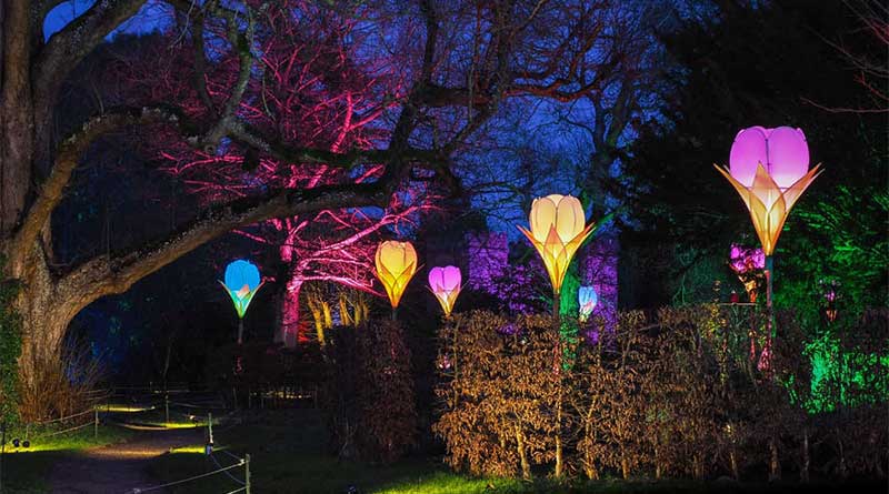 Spectacle of Light 2020 Opening Night