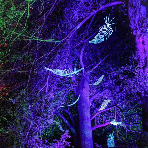 Spectacle of Light Compton Verney 2022 feathers illuminated trail