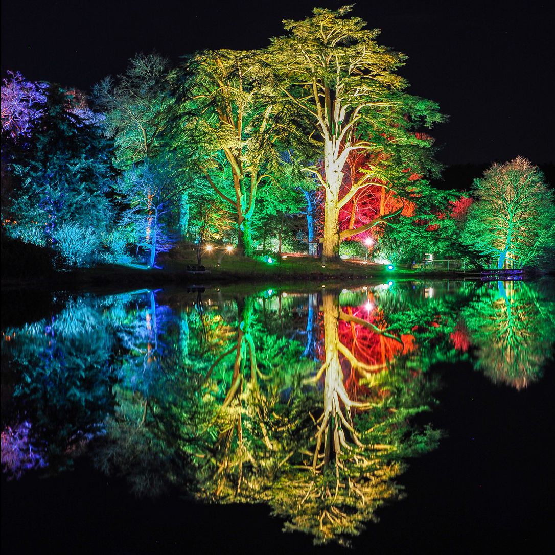 Spectacle of Light Compton Verney 2022 illuminated trail trees