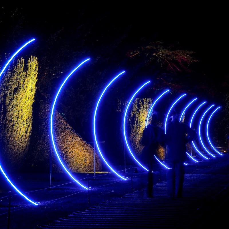 Spectacle of Light Boughton House 2022 light curve installation